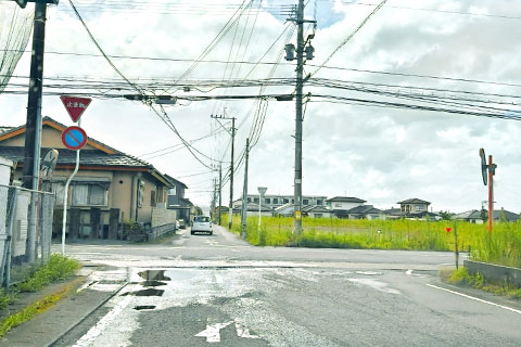 道案内